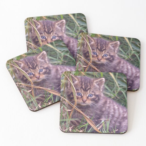 Item preview, Wildcat Kitten designed and sold by Krys Bailey.