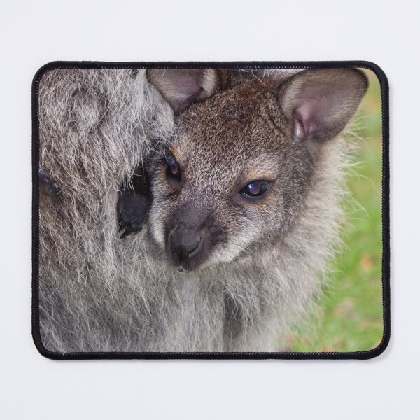 Item preview, S'treuth... it's getting a bit hot in here... pass me a beer... designed and sold by Krys Bailey.