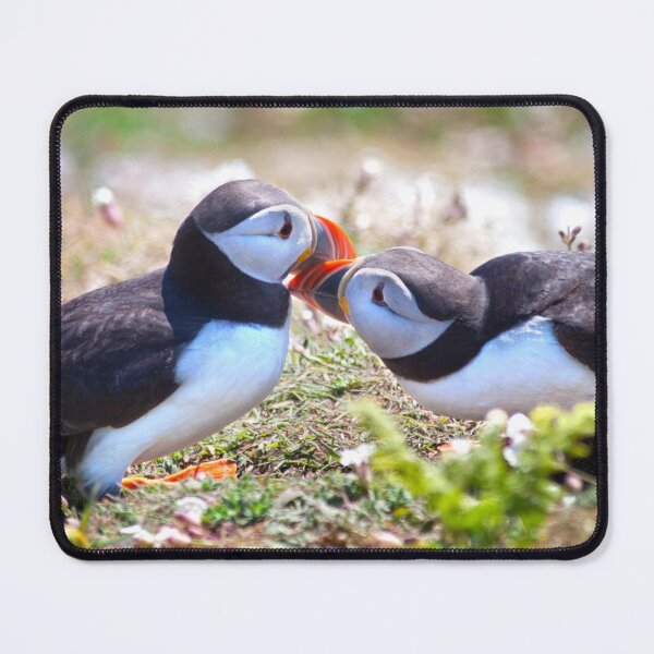 Item preview, Married Bliss (Atlantic Puffins) designed and sold by Krys Bailey.