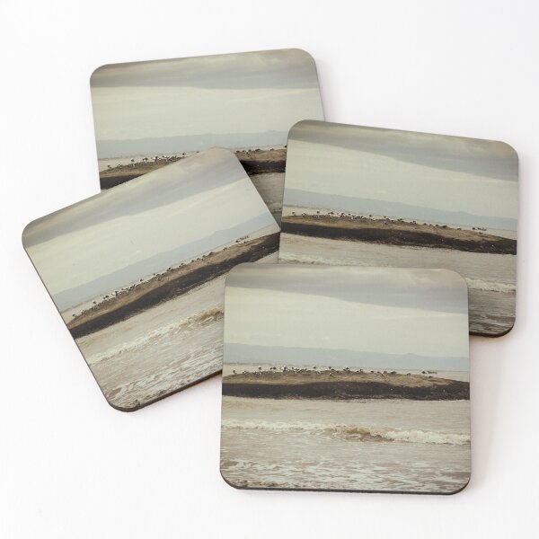Item preview, Resting seagulls designed and sold by carolmaia.