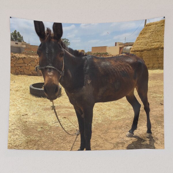 Item preview, Cute farm donkey in the countryside  designed and sold by Donutlovers.