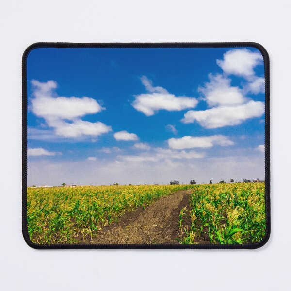 Item preview, Panoramic view of a corn field  designed and sold by Donutlovers.