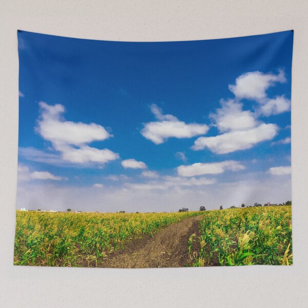 Item preview, Panoramic view of a corn field  designed and sold by Donutlovers.