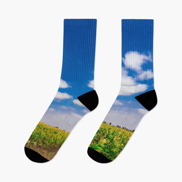 Item preview, Panoramic view of a corn field  designed and sold by Donutlovers.