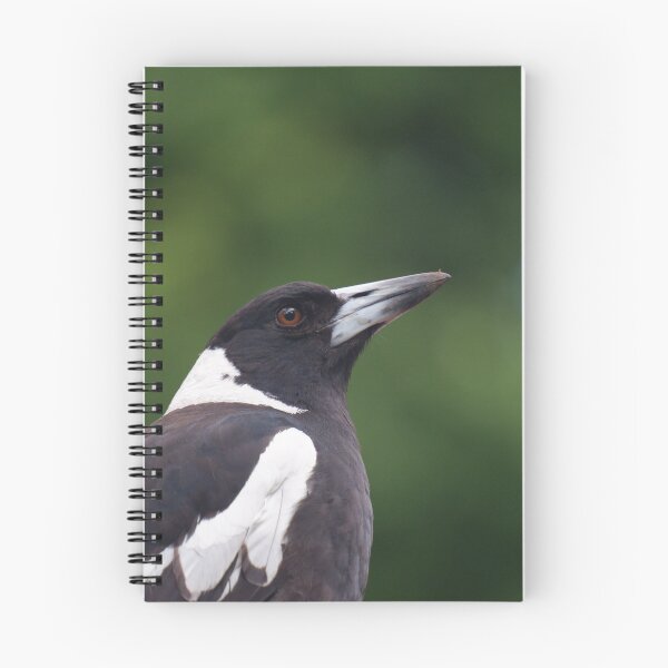 Item preview, Magpie designed and sold by susiinoz.