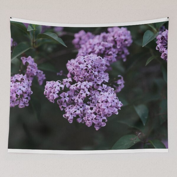 Item preview, Dark Moody Lilac image designed and sold by Votawgrapher.