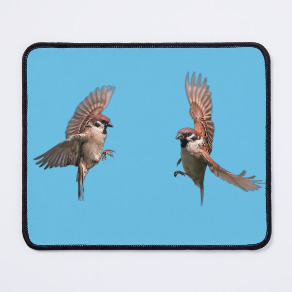 Item preview, two sparrows designed and sold by KasiaWrobel.
