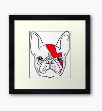 A-Dog-Insane - David Bowie Aladdin Sane French Bulldog Lightening Bolt Framed Print