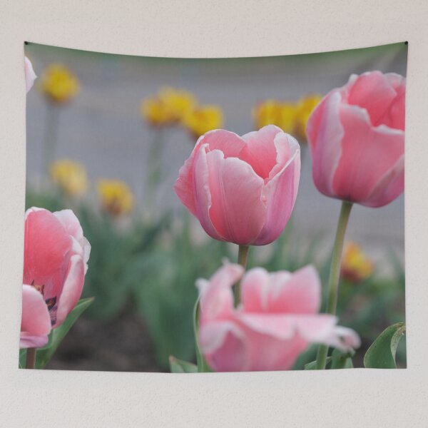 Item preview, Several pink tulips designed and sold by Votawgrapher.