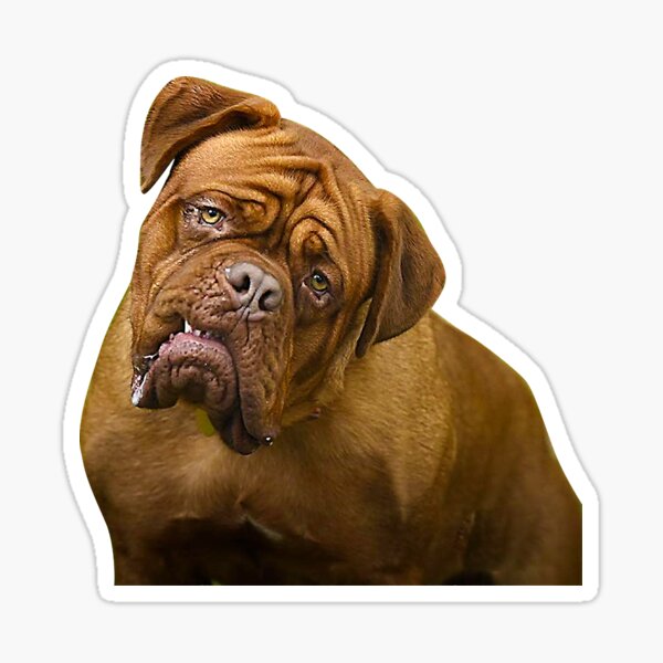 Item preview, Turner And Hooch designed and sold by rodyoder.