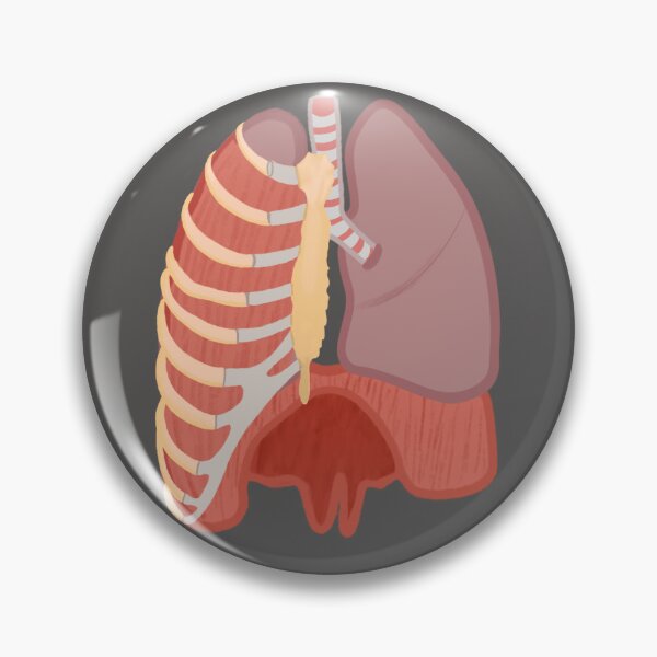 Item preview, Lungs illustration  designed and sold by valart13.