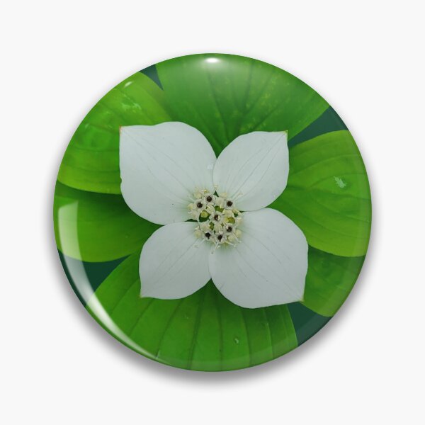 Item preview, Bunchberry designed and sold by PNWBeePhotos.