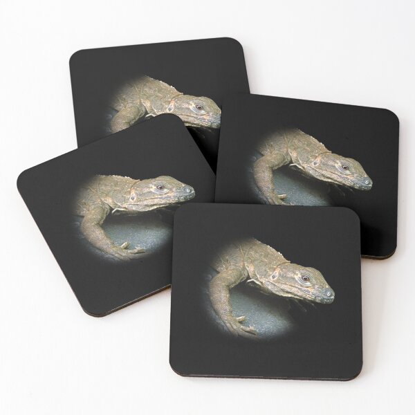 Item preview, Iguana designed and sold by Guardi71.