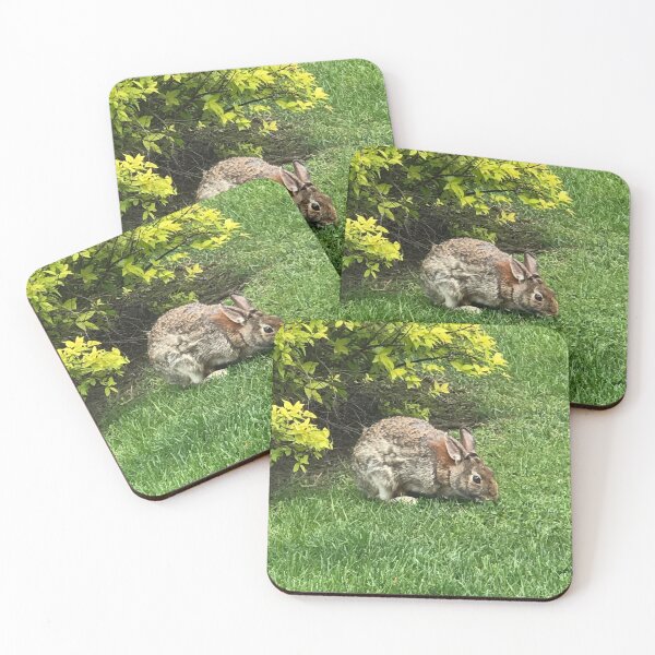 Item preview, Hoppy designed and sold by DoomandBellas.