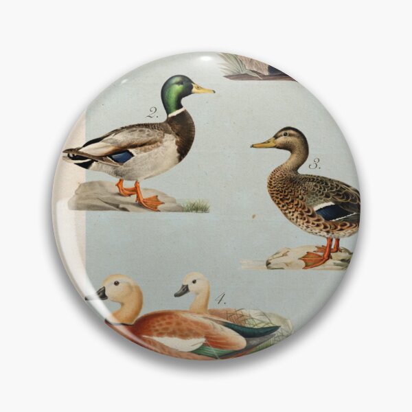 Item preview, Duck Vintage-Inspired Encyclopedia Page designed and sold by BuckNerdImages.