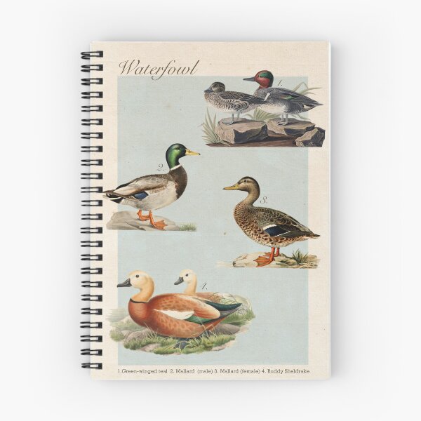 Item preview, Duck Vintage-Inspired Encyclopedia Page designed and sold by BuckNerdImages.