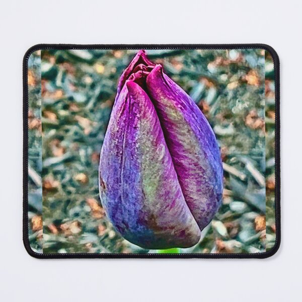 Item preview, Anticipation designed and sold by CreationsByKeri.