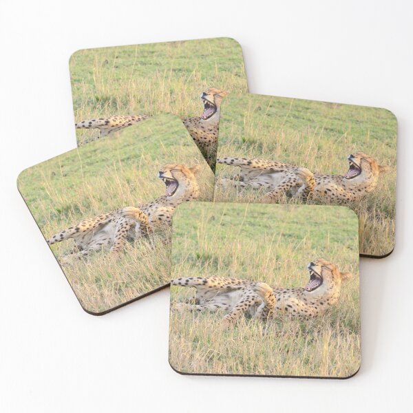 Item preview, Cheetah Has A Good Laugh, Kenya.. designed and sold by Tom Wurl.