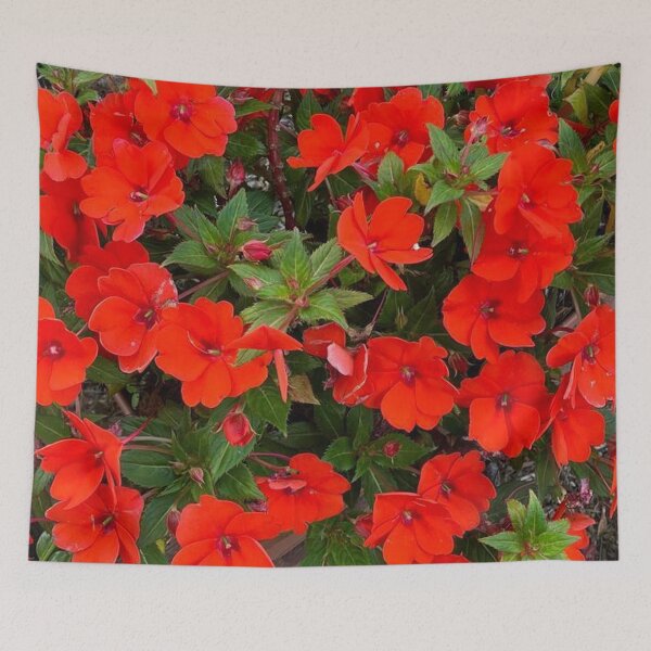 Item preview, SunPatiens Hot Red color flowers by Iritof designed and sold by iritof.