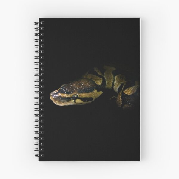 Item preview, Python designed and sold by Guardi71.