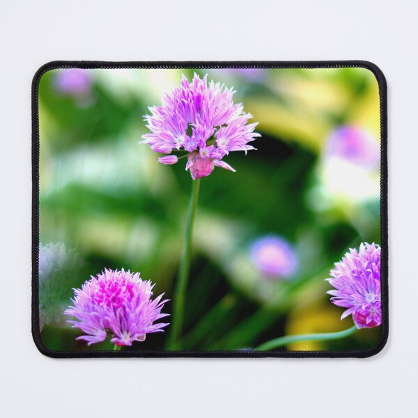 Item preview, Purple Common Chive Trio designed and sold by BostonArcImage.