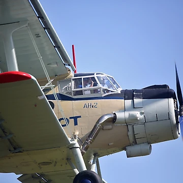 Artwork thumbnail, antonov by Racystar