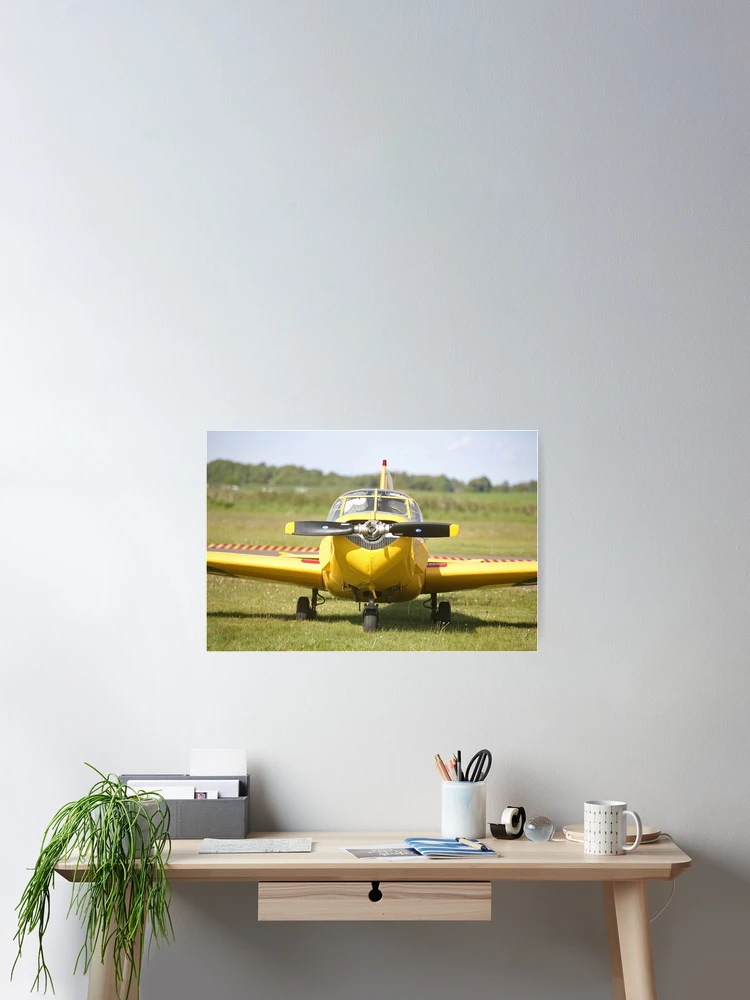 Thumbnail 2 of 3, Poster, Plane designed and sold by Racystar.