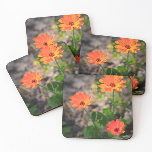 Item preview, Orange flowers in summer garden designed and sold by olena2552.
