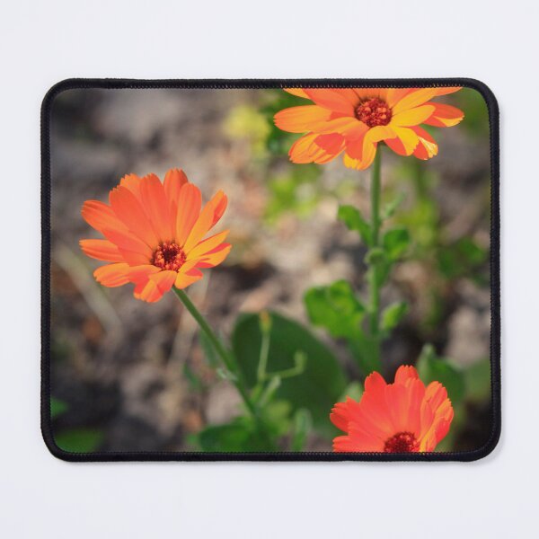 Item preview, Orange flowers in summer garden designed and sold by olena2552.