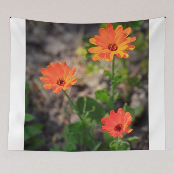 Item preview, Orange flowers in summer garden designed and sold by olena2552.