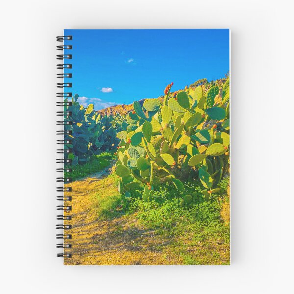 Item preview, Cactus Hiking Path at Ghajnsielem, Gozo, Malta designed and sold by UniqueGlobal.