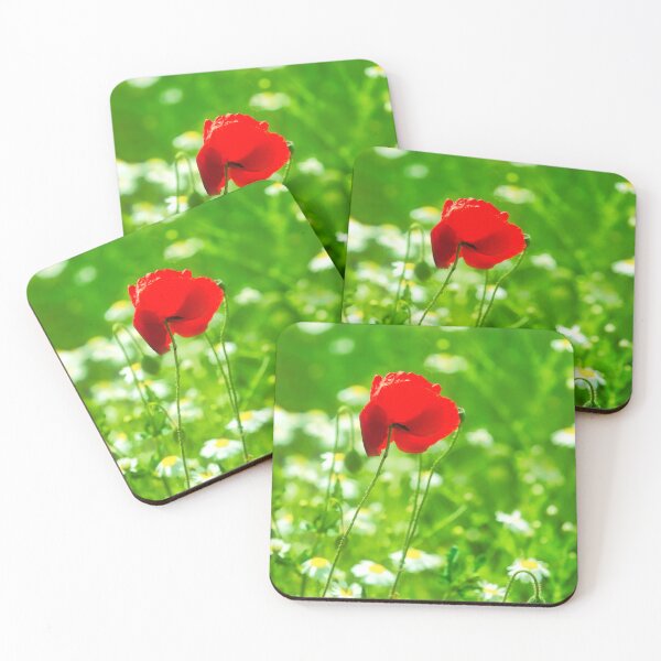 Item preview, Red Poppy Amongst Daisies designed and sold by Dorset Girl.