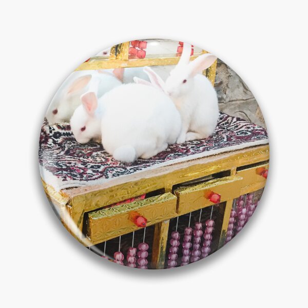 Item preview, Fortune-Telling Rabbits in Antalya, Turkey designed and sold by UniqueGlobal.