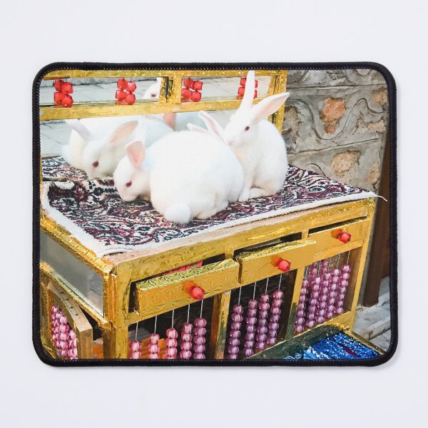 Item preview, Fortune-Telling Rabbits in Antalya, Turkey designed and sold by UniqueGlobal.
