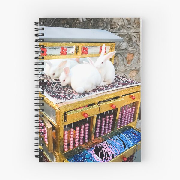Item preview, Fortune-Telling Rabbits in Antalya, Turkey designed and sold by UniqueGlobal.
