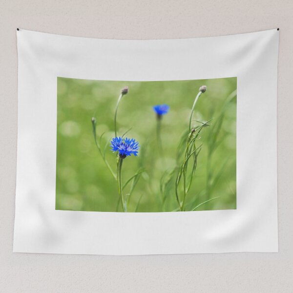 Item preview, Cornflowers - Centaurea-cyanus designed and sold by Dorset Girl.