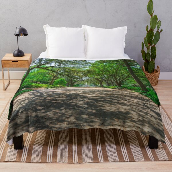 Item preview, Forsyth Park in Savannah designed and sold by Craig Kauzmann.