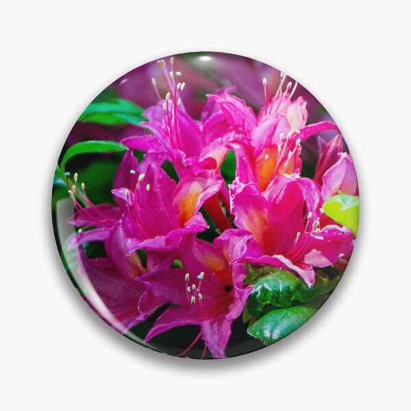 Item preview, The Rhodo colour festival designed and sold by jchanders.