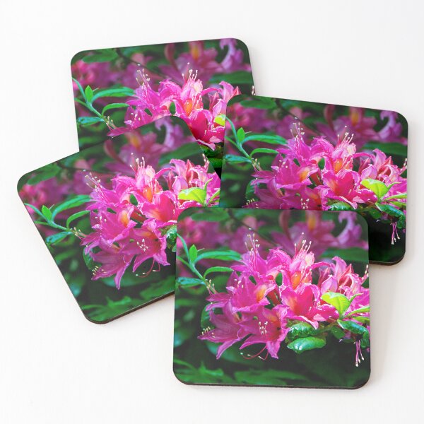 Item preview, The Rhodo colour festival designed and sold by jchanders.