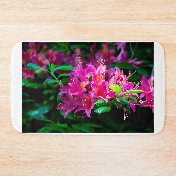 Item preview, The Rhodo colour festival designed and sold by jchanders.