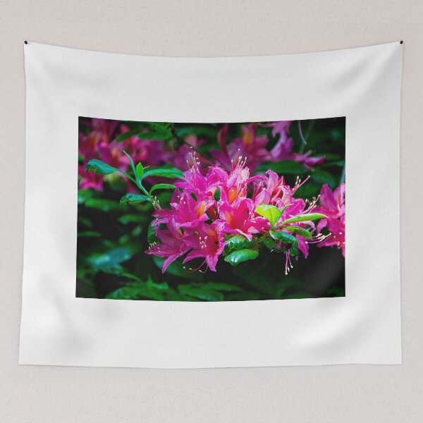 Item preview, The Rhodo colour festival designed and sold by jchanders.
