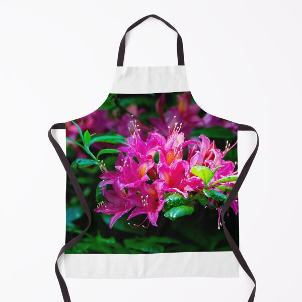 Item preview, The Rhodo colour festival designed and sold by jchanders.