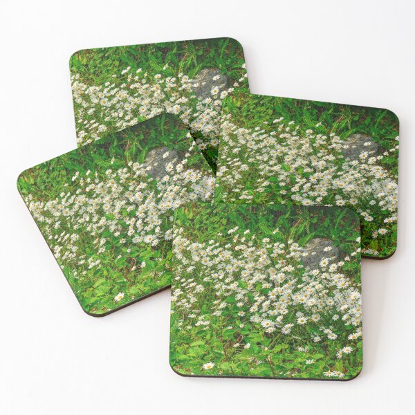 Item preview, Wild Daisies - Seldovia, Alaska, USA designed and sold by AlsknMommaBear2.