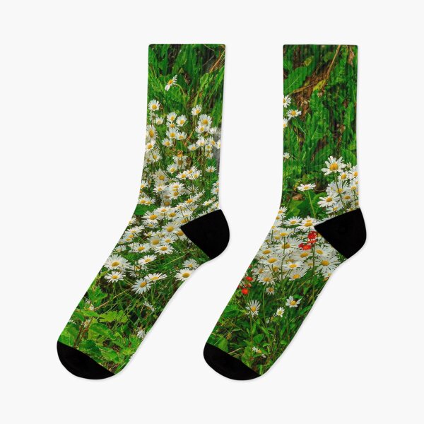 Item preview, Wild Daisies - Seldovia, Alaska, USA designed and sold by AlsknMommaBear2.