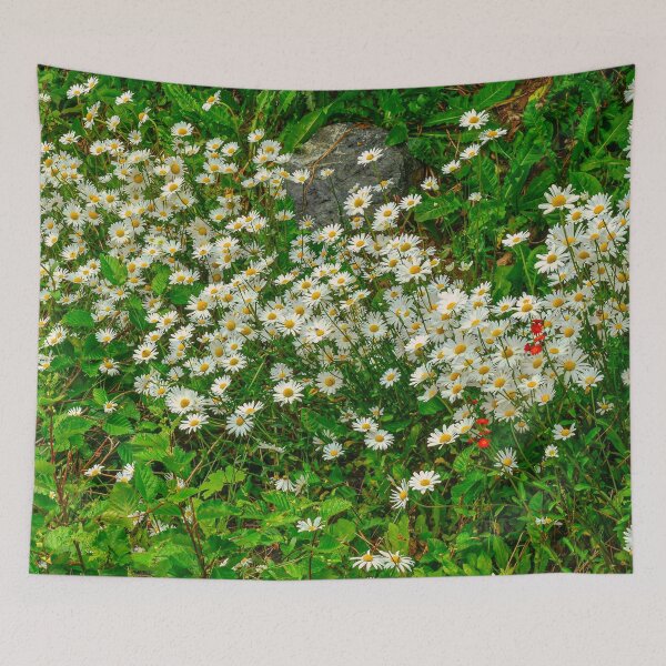 Item preview, Wild Daisies - Seldovia, Alaska, USA designed and sold by AlsknMommaBear2.