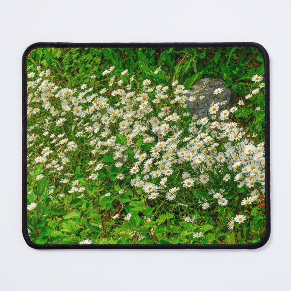 Item preview, Wild Daisies - Seldovia, Alaska, USA designed and sold by AlsknMommaBear2.
