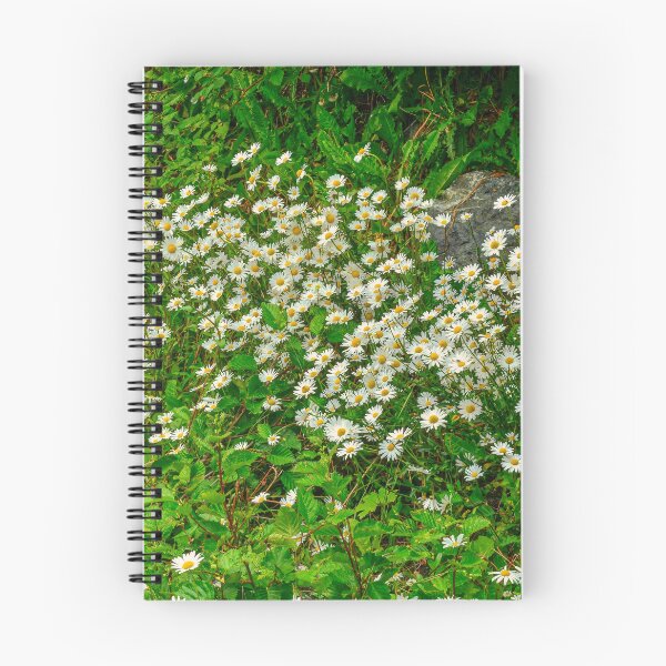 Item preview, Wild Daisies - Seldovia, Alaska, USA designed and sold by AlsknMommaBear2.
