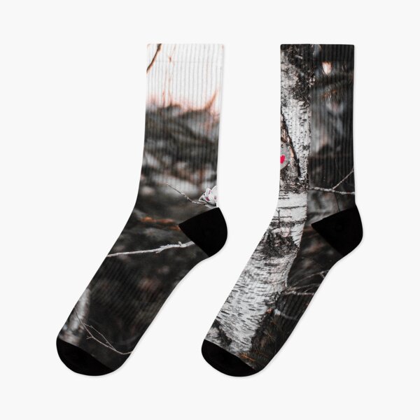 Item preview, Mysterious Pointe a Bouleau Forest in Tracadie, New Brunswick Canada V3 designed and sold by Family Journey with God.