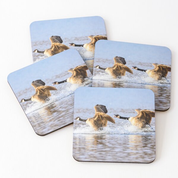 Item preview, It's Funny When You Try To Catch Me designed and sold by printstars.