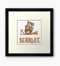 Scarlet Owl Framed Print